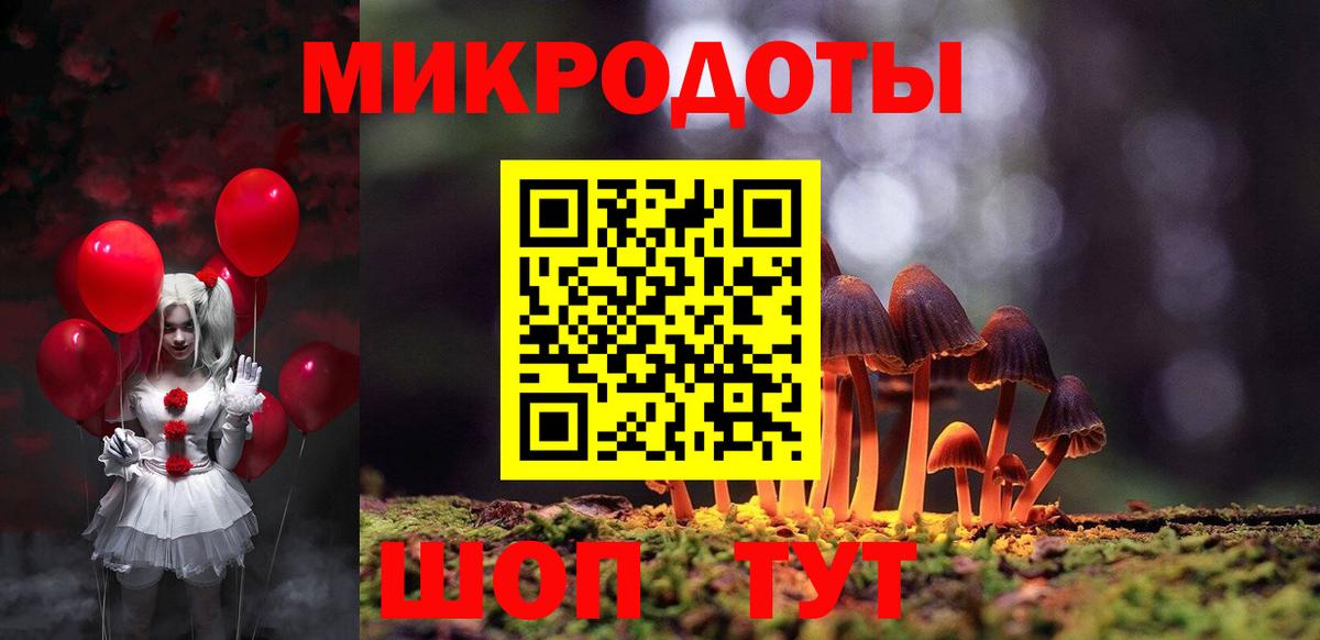 Псилоцибиновые грибы Psilocybine cubensis Дмитров